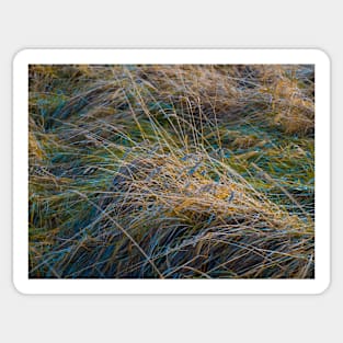 Rainbow grass Sticker